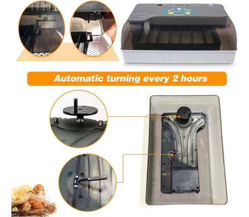 EW9-12 Incubadora Automática 12 Huevos Humedad Temperatura Giro Led