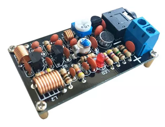 Kit De Micrófono Inalámbrico Fm Karaoke