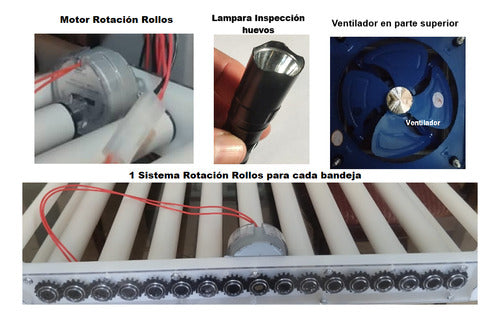 Incubadora Automática 1000 huevos Control Temperatura Humedad Volteo
