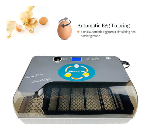EW9-12 Incubadora Automática 12 Huevos Humedad Temperatura Giro Led