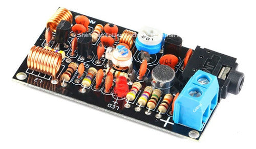 Kit De Micrófono Inalámbrico Fm Karaoke