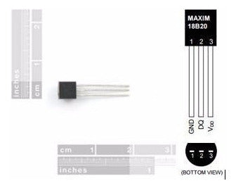 Sensor Temperatura Ds18b20 sumergible