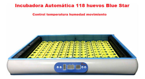 Incubadora Automática 118 huevos Blue Star Control temperatura humedad movimiento