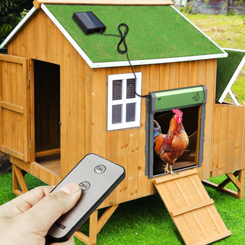 Puerta Automática Gallinero Pollos Solar Control Remoto